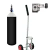 Rent-Oxygen Cylinder 10 ltr