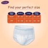 Svaach Adult diaper pant size guide