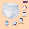 Svaach Adult Diaper pant without package