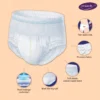 Svaach Adult Diaper pant without package image